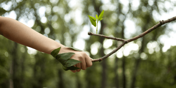 Nohaltegkeet – Iwwer d’Konformitéit eraus