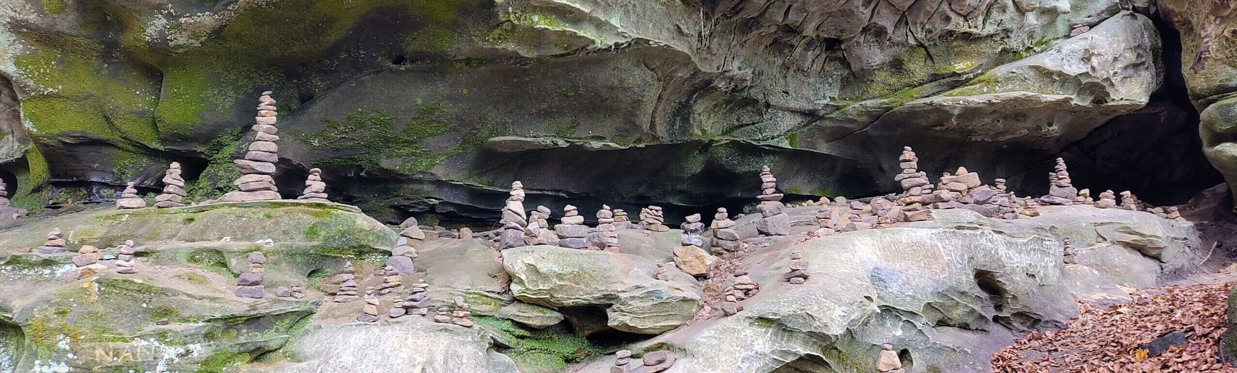 Coaching professionnel